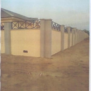 scan0001 (3)